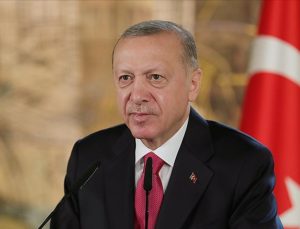 Cumhurbaşkanı Erdoğan, Avusturya Başbakanı Nehammer ile telefonda görüştü – Dünya haberleri | Dış Haberler